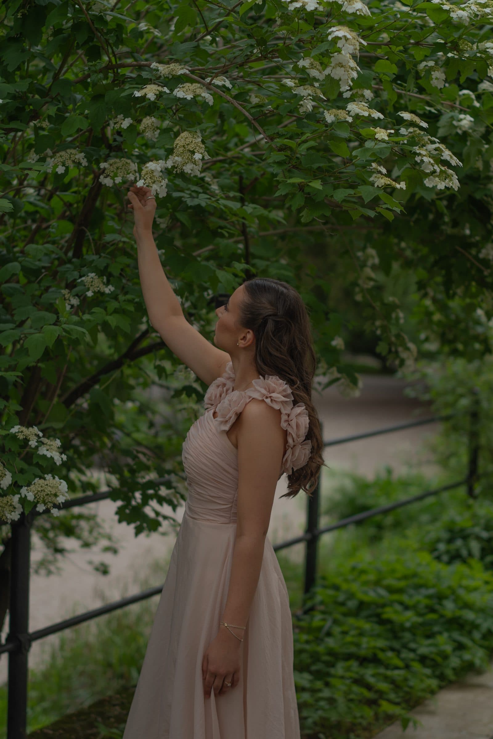 Sumeja reaching up to white blossoms